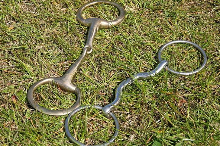 Mit udstyr - 2 delt muffebid - 

2 delt tungefrihedsbid billede 33