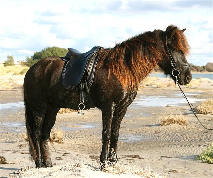 Mit udstyr - County Island - Wide - 17" - sort billede 25