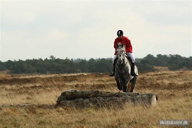 Jagt billeder billede 3