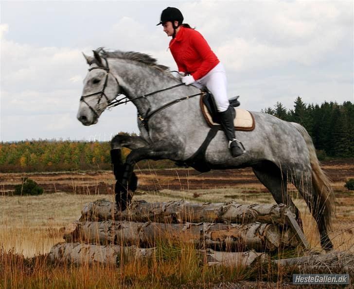 Jagt billeder billede 8