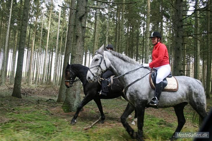Jagt billeder - Vi er lige kommet fra vandgraven. billede 9
