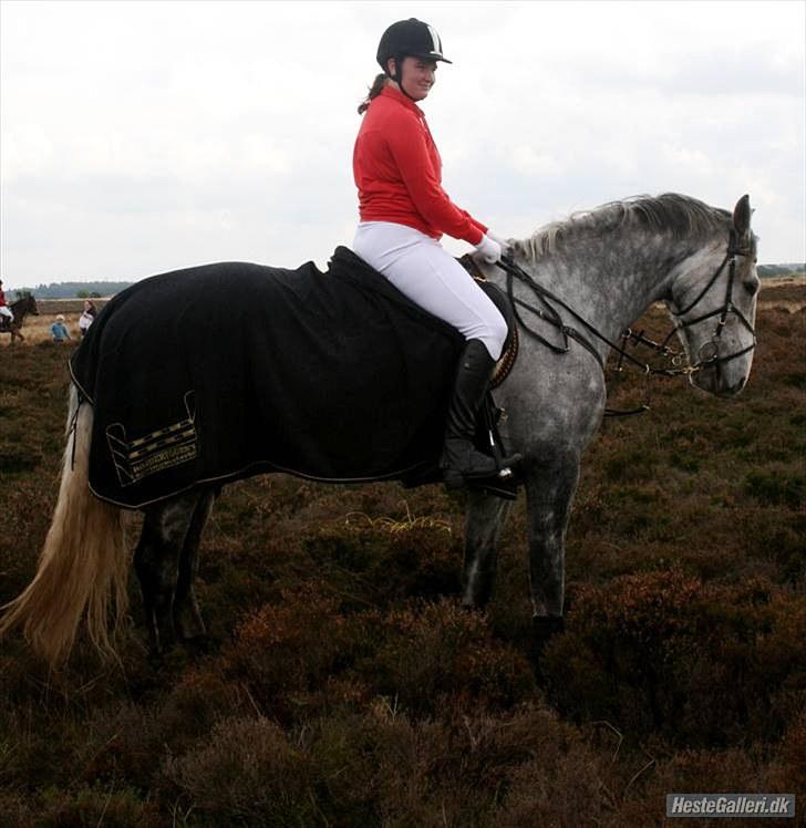 Jagt billeder - Pause. billede 6