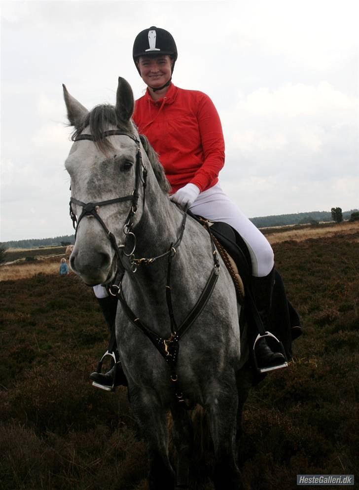 Jagt billeder - Pause. billede 7