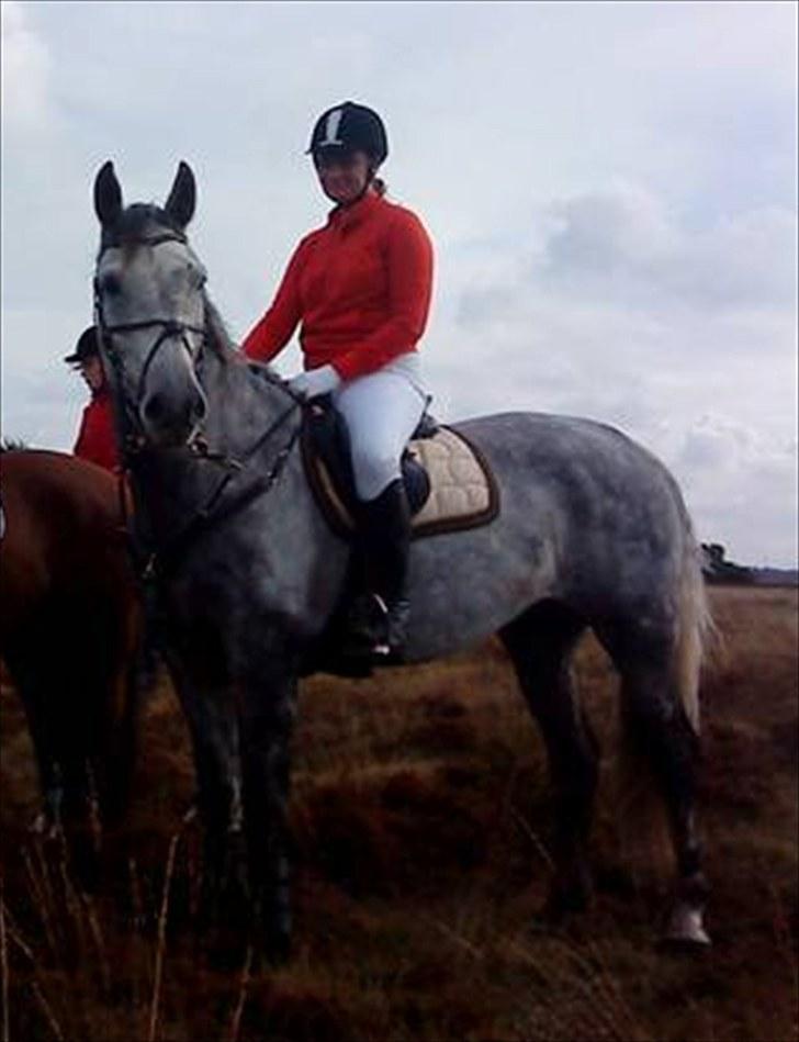 Jagt billeder - Vi er lige ved at blive blæst til pause. billede 5