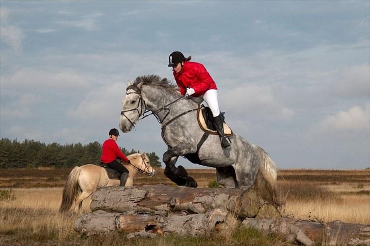 Jagt billeder billede 2