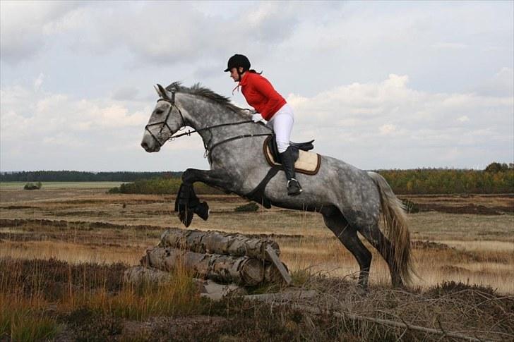 Jagt billeder billede 10