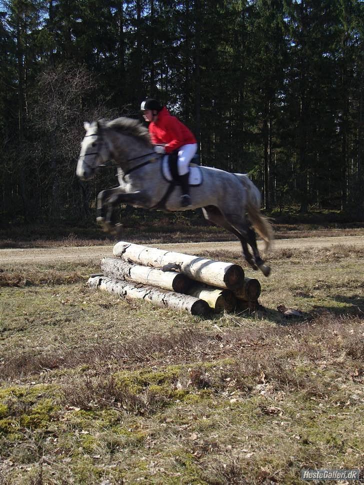 Jagt billeder - Disse billeder er fra den første forårs jagt i Kompedal 2010. billede 12
