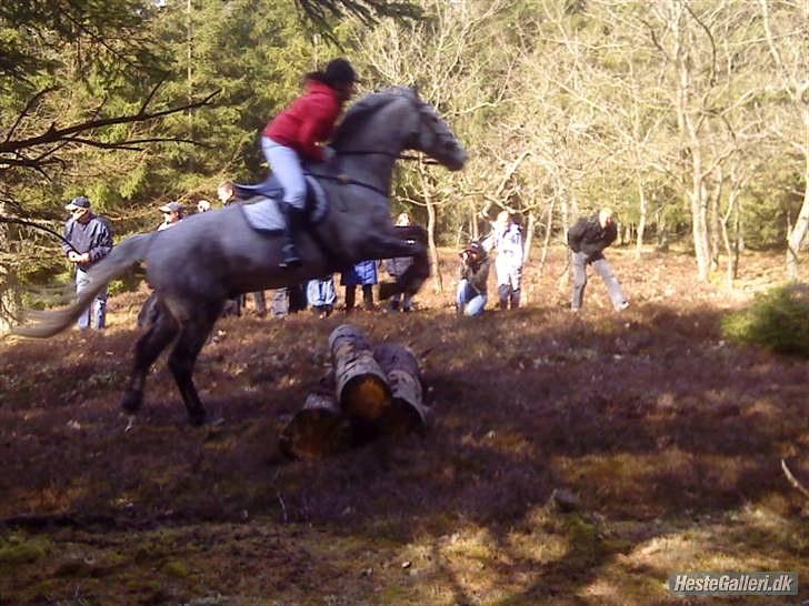 Jagt billeder - Vi springer op ad bakke, og jeg har mistet min venstre stigbøjle. billede 13