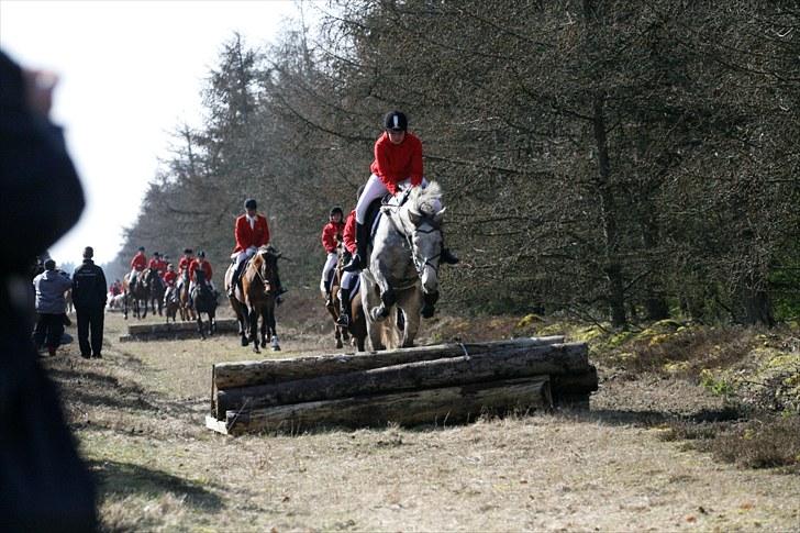 Jagt billeder billede 14