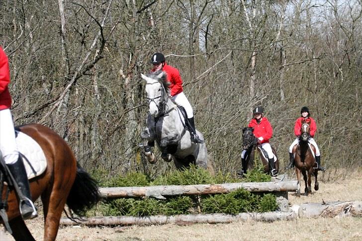 Jagt billeder billede 15