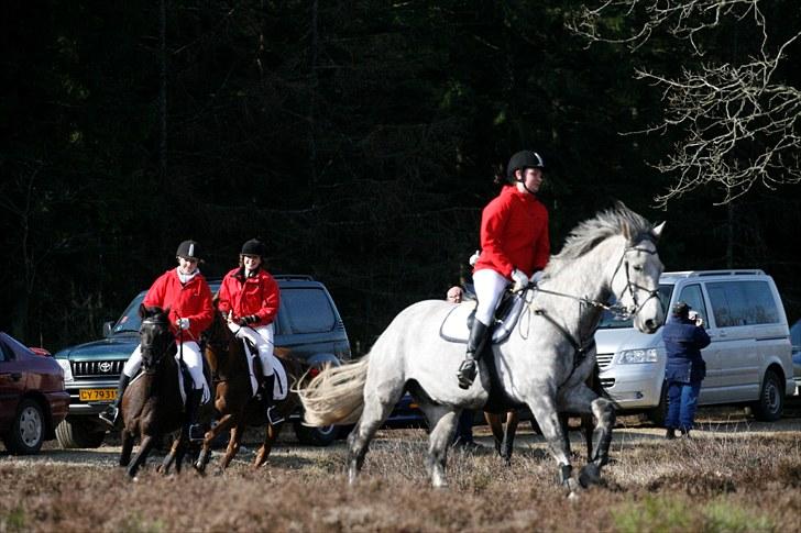 Jagt billeder billede 16