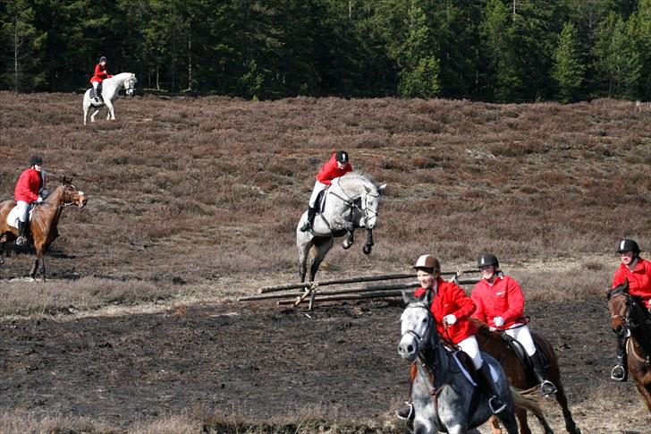 Jagt billeder - Første gang vi springer grøft. billede 17