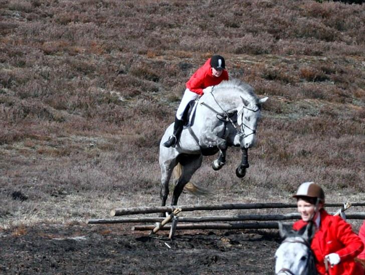 Jagt billeder - Se lige hvor dygtige vi er :) billede 18
