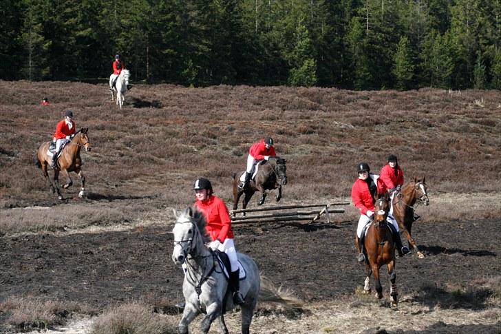 Jagt billeder billede 19