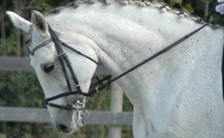 Alt muligt billede 14