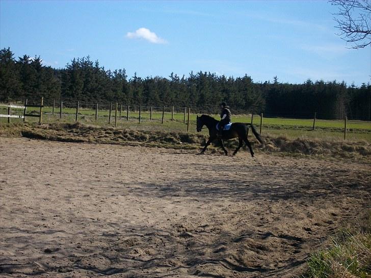 Udendørs ridning billede 2