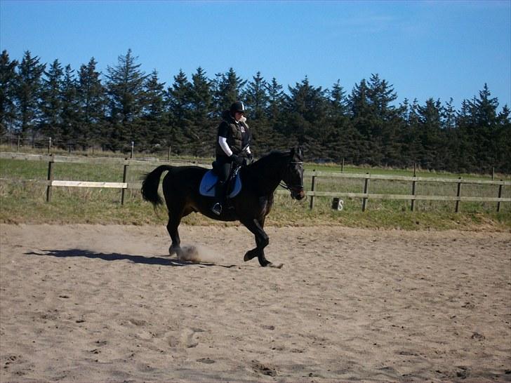 Udendørs ridning billede 3