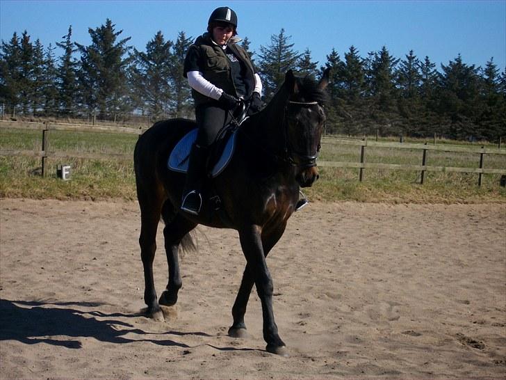 Udendørs ridning billede 5