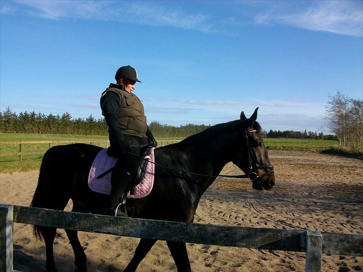 Udendørs ridning billede 6