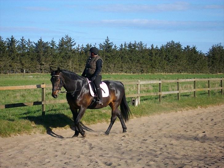 Udendørs ridning billede 7