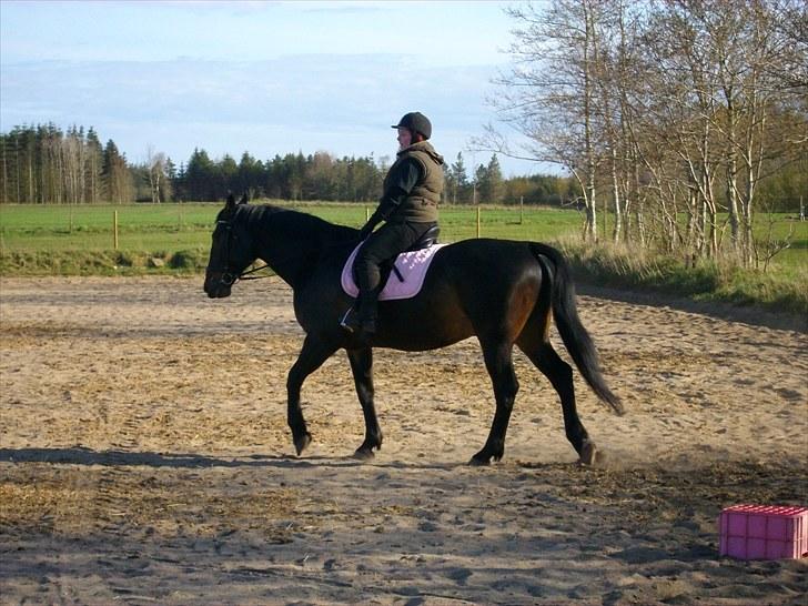 Udendørs ridning billede 8