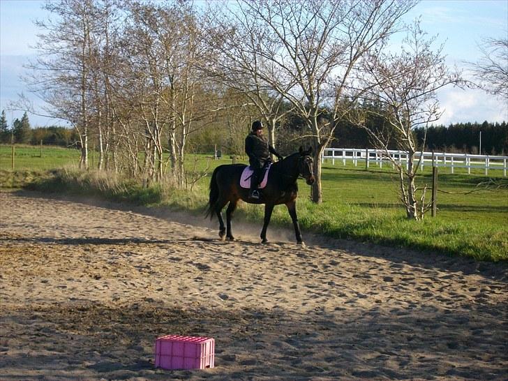Udendørs ridning billede 9