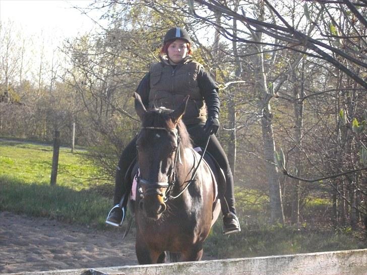 Udendørs ridning billede 10
