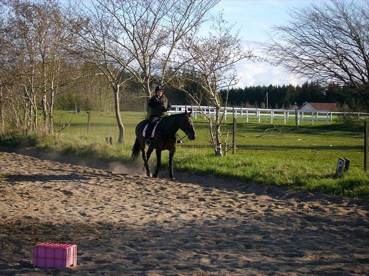 Udendørs ridning billede 11