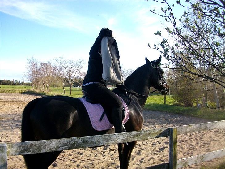 Udendørs ridning billede 12