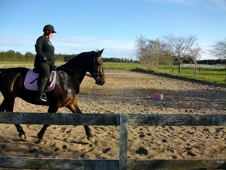 Udendørs ridning billede 14