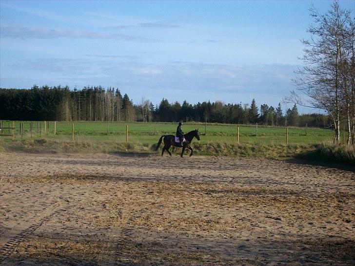 Udendørs ridning billede 15