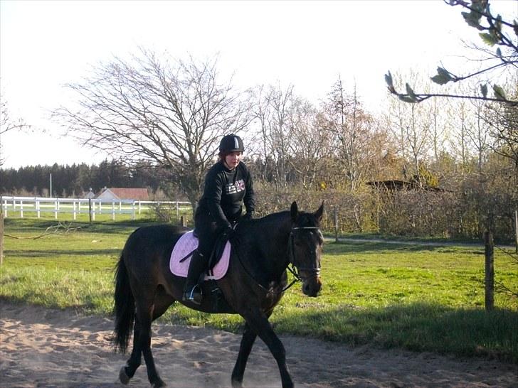 Udendørs ridning billede 16