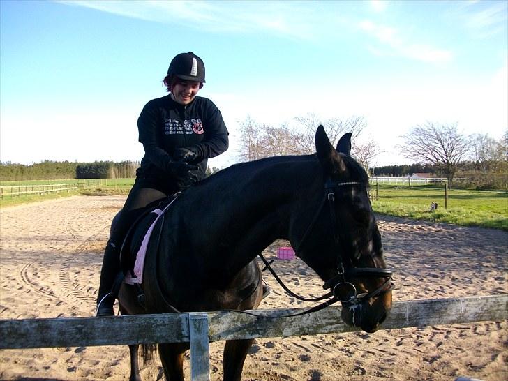 Udendørs ridning billede 17