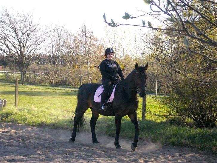 Udendørs ridning billede 18