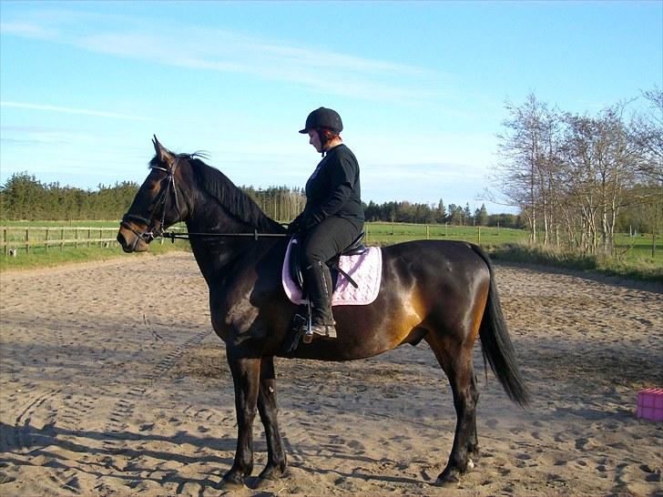 Udendørs ridning - Den er altså bare lækker den hest der går der over på den anden gård. :) billede 20