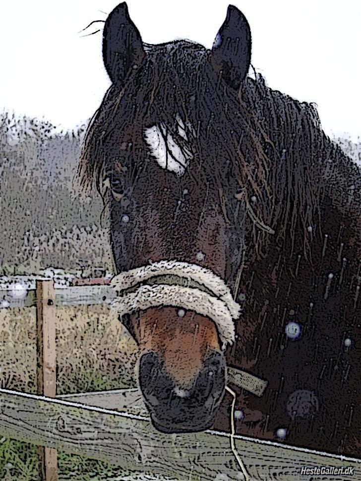 Manipulerede billeder - Lavet for: Jessica *Abby Søger part* P billede 14