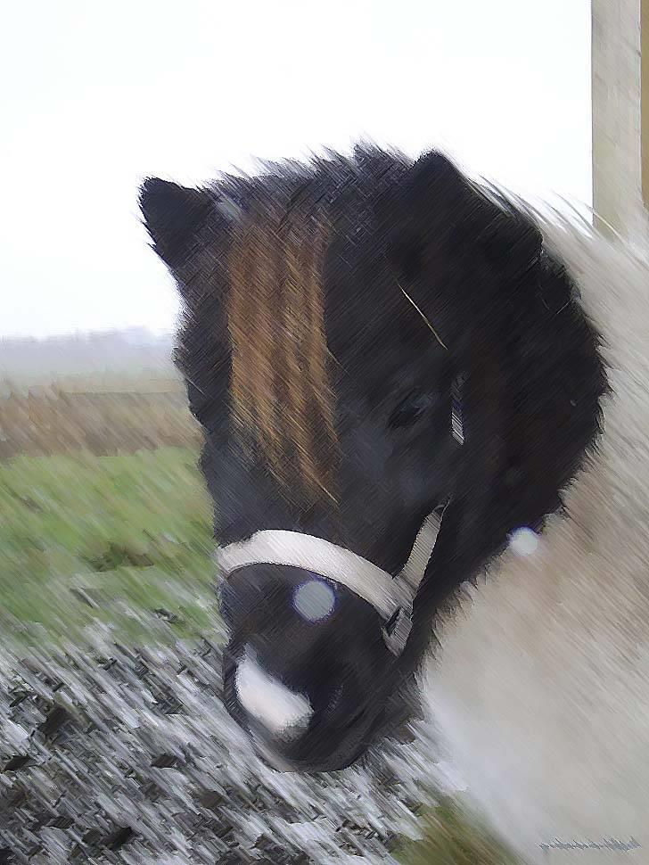 Manipulerede billeder - Lavet for: Jessica *Abby Søger part* P billede 16