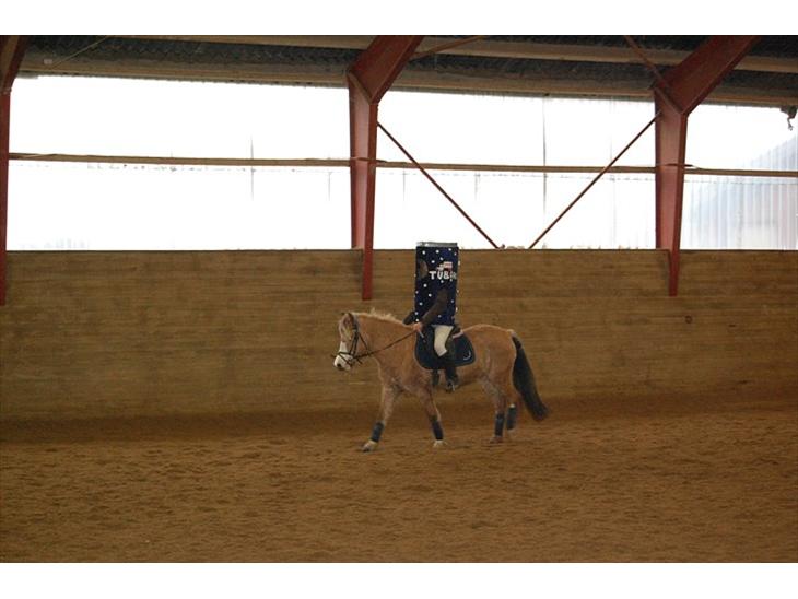 {{currentPhoto.altText}} billede {{currentPhoto.number}}