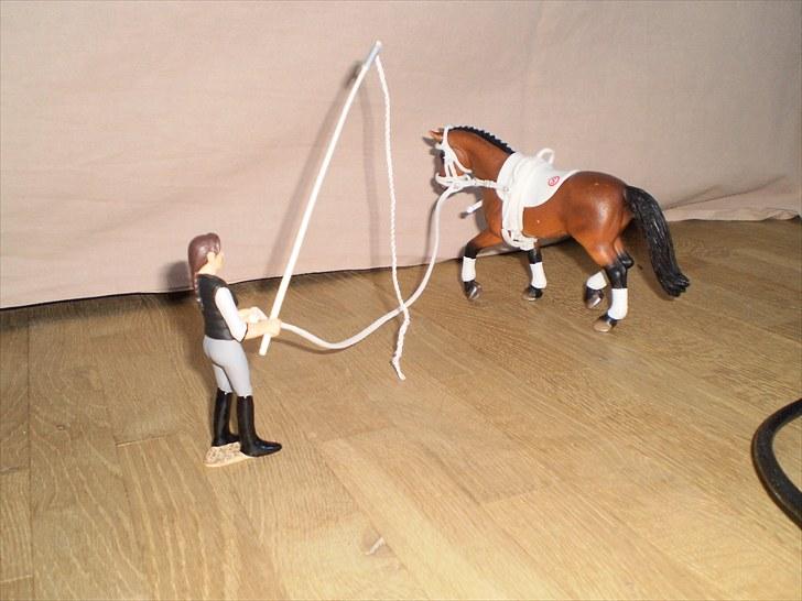Hannoveraner All Horse´sDream Come True (Wonder) (Schleich) - Første gang i Voltering billede 9