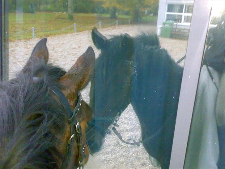 Gamle billeder af prinsen Flint <3 - Rens Ungdomsskole :) billede 8