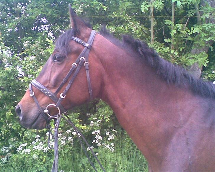 Gamle billeder af prinsen Flint <3 - <3 billede 9