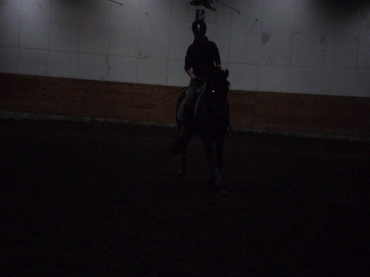 Gamle billeder af prinsen Flint <3 - Dressur på Rens Ungdomsskole :) billede 11