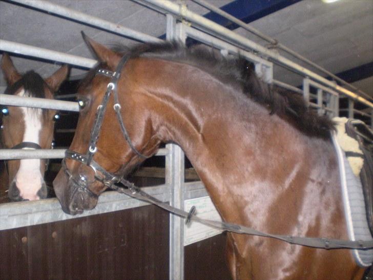 Gamle billeder af prinsen Flint <3 - Rens Ungdomsskole :) billede 20