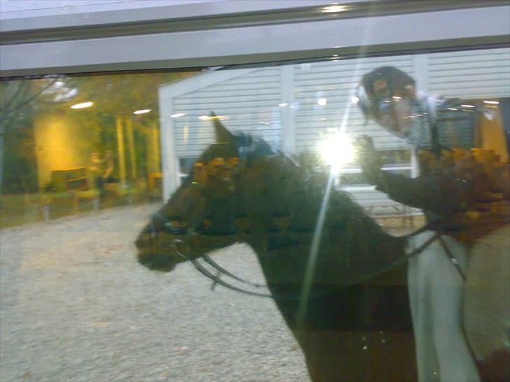 Gamle billeder af prinsen Flint <3 - Rens Ungdomsskole :) billede 21