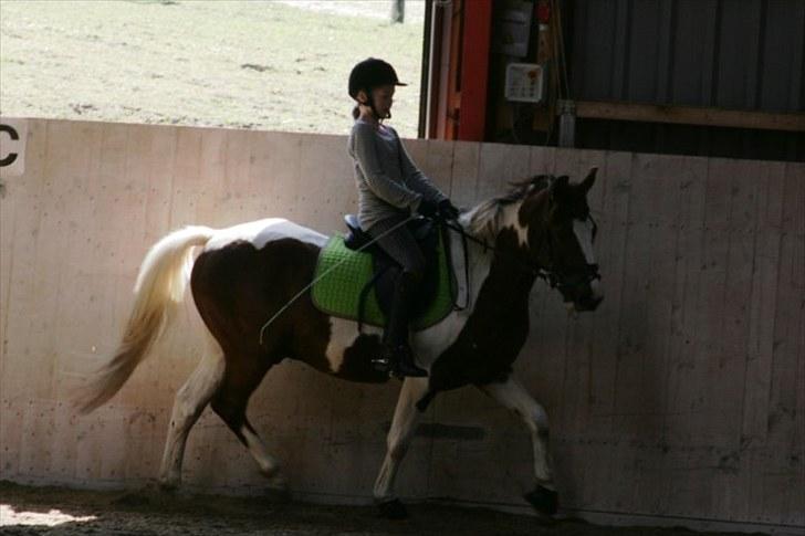 La-Chris dressur.<3:D billede 1