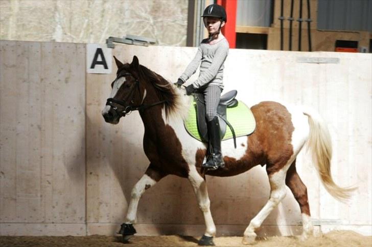 La-Chris dressur.<3:D billede 2