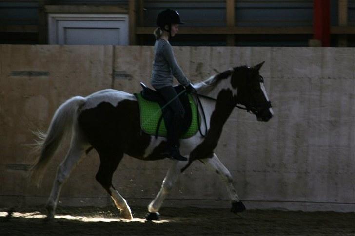 La-Chris dressur.<3:D billede 3