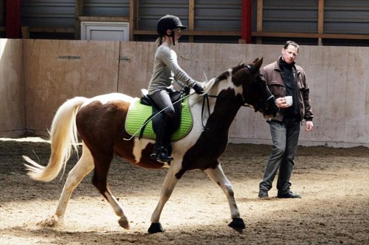 La-Chris dressur.<3:D billede 4