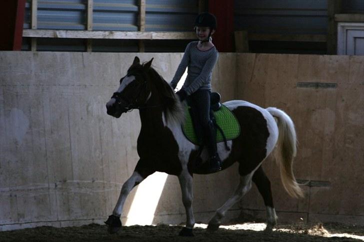 La-Chris dressur.<3:D billede 5