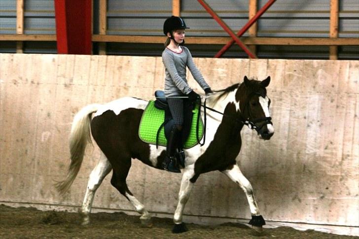 La-Chris dressur.<3:D billede 6